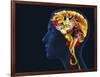 Brain Food, Conceptual Image-SMETEK-Framed Photographic Print