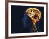 Brain Food, Conceptual Image-SMETEK-Framed Photographic Print