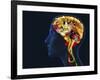 Brain Food, Conceptual Image-SMETEK-Framed Photographic Print