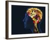 Brain Food, Conceptual Image-SMETEK-Framed Photographic Print