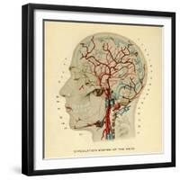 Brain, Head-null-Framed Giclee Print