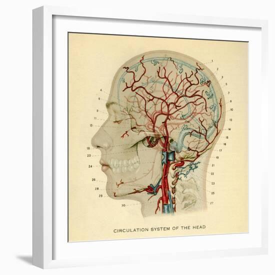 Brain, Head-null-Framed Giclee Print