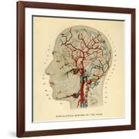 Brain, Head-null-Framed Giclee Print