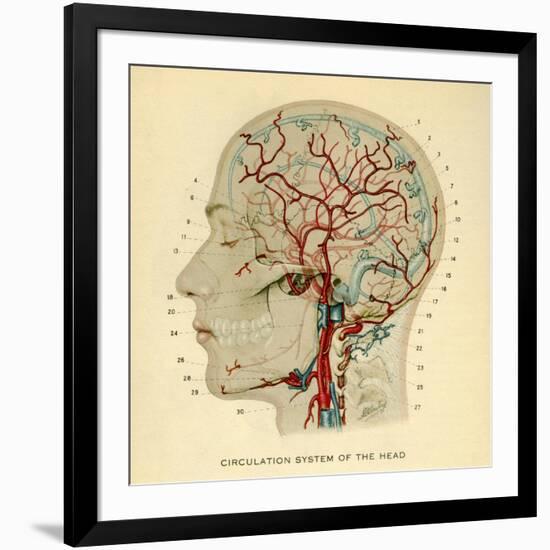 Brain, Head-null-Framed Giclee Print