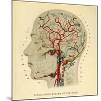 Brain, Head-null-Mounted Giclee Print