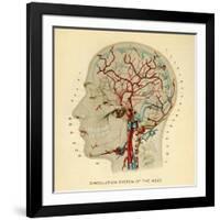 Brain, Head-null-Framed Giclee Print