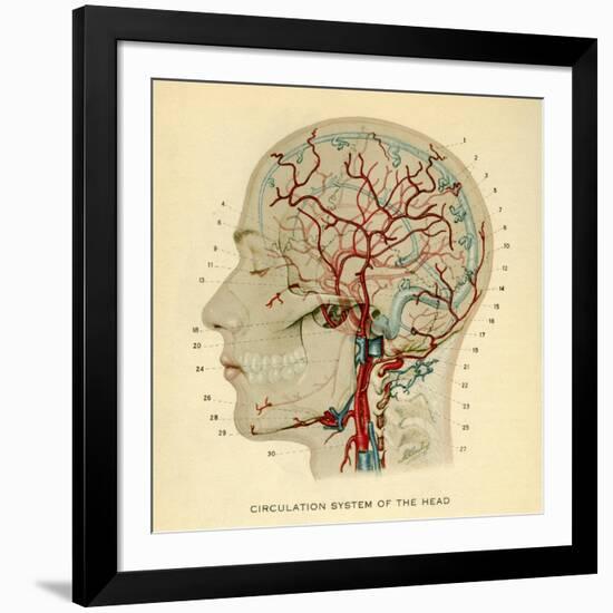 Brain, Head-null-Framed Giclee Print