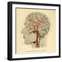 Brain, Head-null-Framed Giclee Print