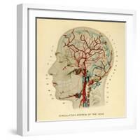 Brain, Head-null-Framed Giclee Print