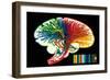 Brain. Nerve Fibers. Memory and Thinking. Drawing. Color-null-Framed Giclee Print