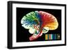 Brain. Nerve Fibers. Memory and Thinking. Drawing. Color-null-Framed Giclee Print