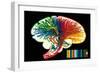 Brain. Nerve Fibers. Memory and Thinking. Drawing. Color-null-Framed Giclee Print