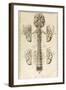 Brain, Nervous System, Illustration, 1744-Science Source-Framed Giclee Print