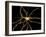 Brain Neuron-Thomas Deerinck-Framed Photographic Print