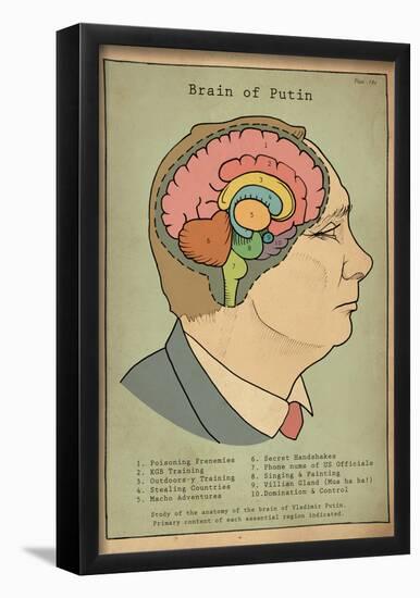 Brain Of Putin-null-Framed Poster