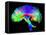 Brain Pathways-Tom-Framed Stretched Canvas