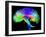 Brain Pathways-Tom-Framed Premium Photographic Print