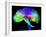 Brain Pathways-Tom-Framed Photographic Print