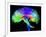 Brain Pathways-Tom-Framed Photographic Print