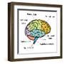 Brain Sections-nn555-Framed Art Print