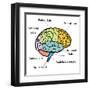 Brain Sections-nn555-Framed Art Print