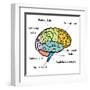 Brain Sections-nn555-Framed Art Print