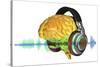 Brain with Headphones, Artwork-PASIEKA-Stretched Canvas