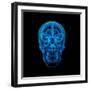 Brain X Ray-maya2008-Framed Art Print