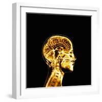 Brain-Mehau Kulyk-Framed Premium Photographic Print