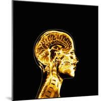 Brain-Mehau Kulyk-Mounted Premium Photographic Print