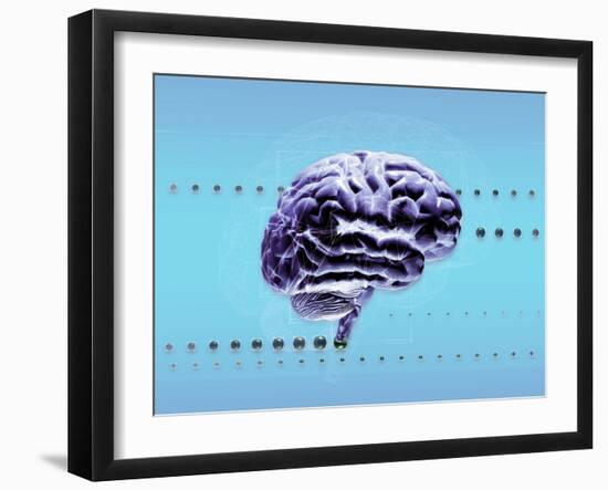 Brain-Coneyl Jay-Framed Photographic Print