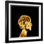 Brain-Mehau Kulyk-Framed Photographic Print