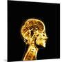 Brain-Mehau Kulyk-Mounted Photographic Print