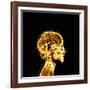 Brain-Mehau Kulyk-Framed Photographic Print