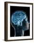 Brain-PASIEKA-Framed Photographic Print