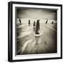 Brainclub-David Baker-Framed Photographic Print