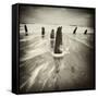 Brainclub-David Baker-Framed Stretched Canvas