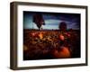 Brainfly-Sharon Wish-Framed Premium Photographic Print