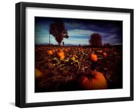 Brainfly-Sharon Wish-Framed Premium Photographic Print