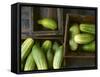 Braising Cucumbers in Wooden Boxes-Jan-peter Westermann-Framed Stretched Canvas