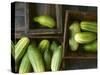 Braising Cucumbers in Wooden Boxes-Jan-peter Westermann-Stretched Canvas