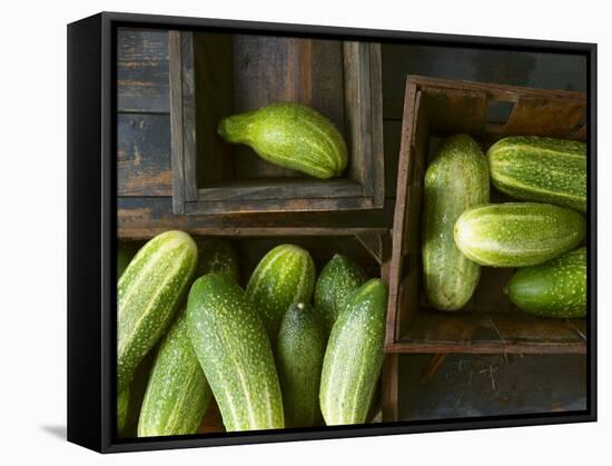 Braising Cucumbers in Wooden Boxes-Jan-peter Westermann-Framed Stretched Canvas