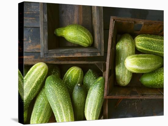 Braising Cucumbers in Wooden Boxes-Jan-peter Westermann-Stretched Canvas