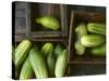 Braising Cucumbers in Wooden Boxes-Jan-peter Westermann-Stretched Canvas