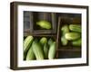 Braising Cucumbers in Wooden Boxes-Jan-peter Westermann-Framed Photographic Print