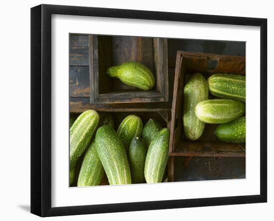 Braising Cucumbers in Wooden Boxes-Jan-peter Westermann-Framed Photographic Print