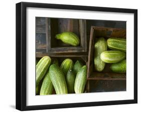 Braising Cucumbers in Wooden Boxes-Jan-peter Westermann-Framed Photographic Print