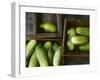 Braising Cucumbers in Wooden Boxes-Jan-peter Westermann-Framed Photographic Print