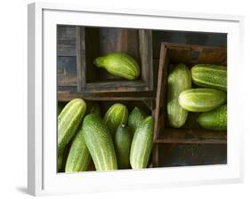 Braising Cucumbers in Wooden Boxes-Jan-peter Westermann-Framed Photographic Print