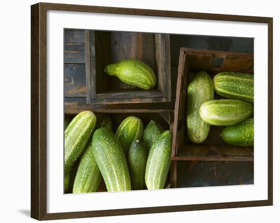 Braising Cucumbers in Wooden Boxes-Jan-peter Westermann-Framed Photographic Print